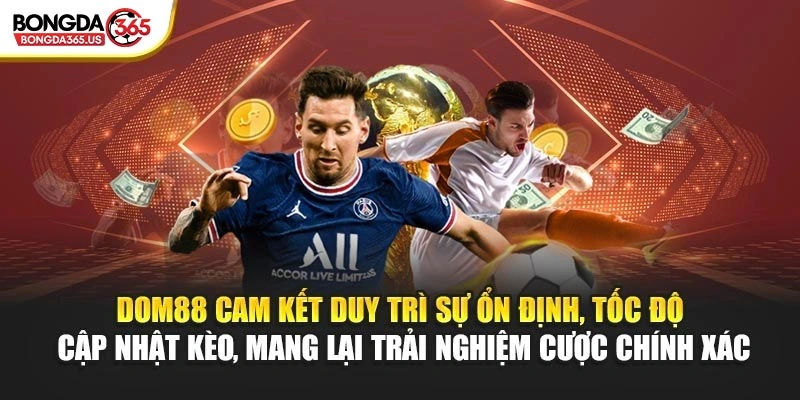 DOM88 cam kết duy trì sự ổn định, tốc độ cập nhật kèo, mang lại trải nghiệm cược chính xác