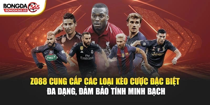 ZO88 cung cấp các loại kèo cược đặc biệt đa dạng, đảm bảo tính minh bạch