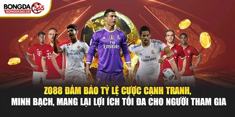 ZO88 đảm bảo tỷ lệ cược cạnh tranh, minh bạch, mang lại lợi ích tối đa cho người tham gia