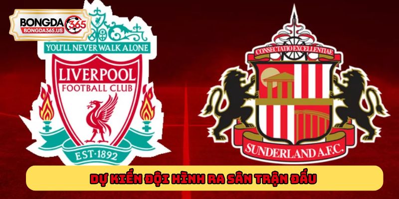 Dự kiến đội hình ra sân trận đấu Liverpool vs Sunderland 3h15 ngày 04/12/2025