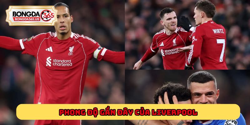 Phong độ gần đây của Liverpool