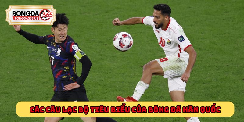 Các câu lạc bộ tiêu biểu của bóng đá Hàn Quốc