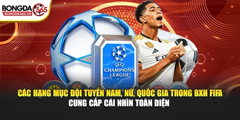 Các hạng mục đội tuyển nam, nữ, quốc gia trong BXH FIFA cung cấp cái nhìn toàn diện