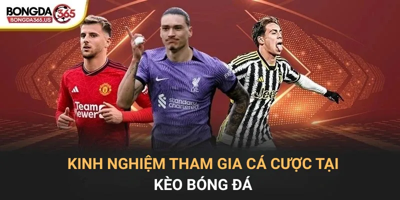 Kinh nghiệm tham gia cá cược tại Kèo Bóng Đá