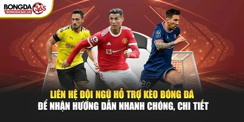 Liên hệ đội ngũ hỗ trợ Kèo Bóng Đá để nhận hướng dẫn nhanh chóng, chi tiết