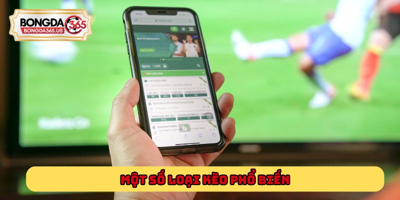 Một số loại kèo phổ biến