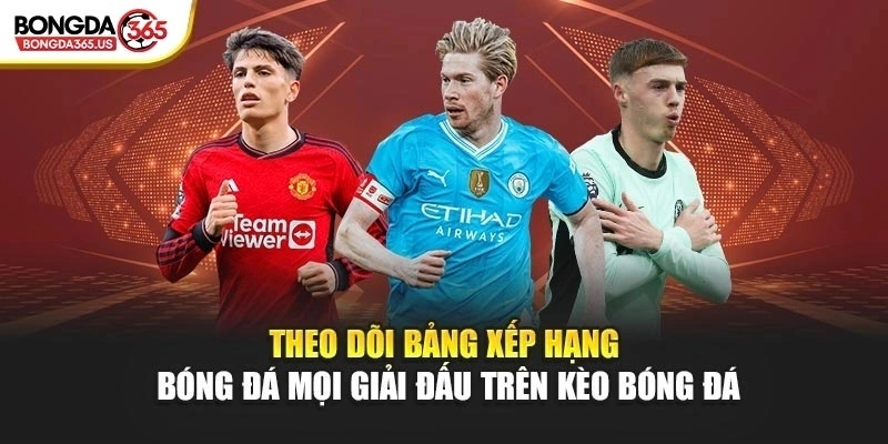 Theo dõi bảng xếp hạng bóng đá mọi giải đấu trên Kèo Bóng Đá